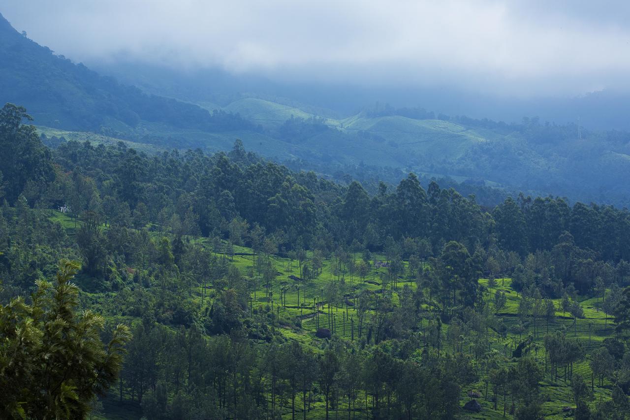 Mount View Munnar Hotel Eksteriør billede